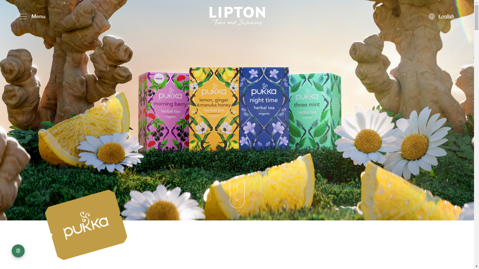 Description de l'image 4