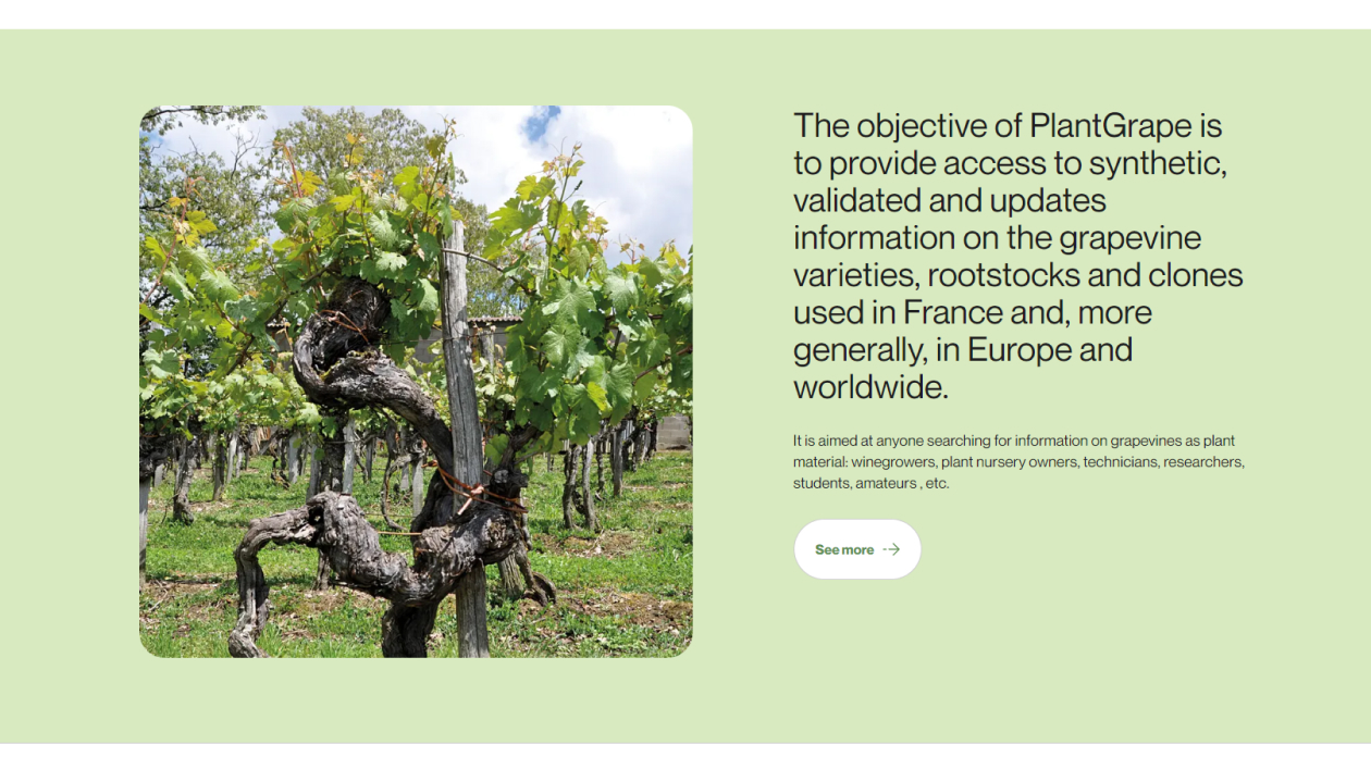 Description de l'image 3