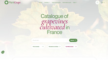Aperçu du projet Plantgrape